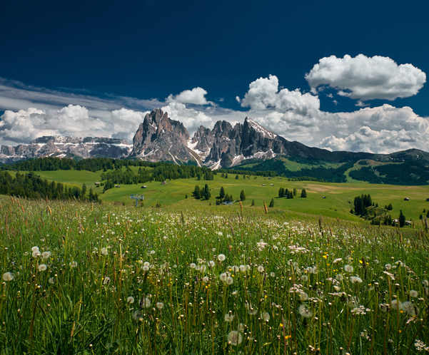 alpe di siusi estate