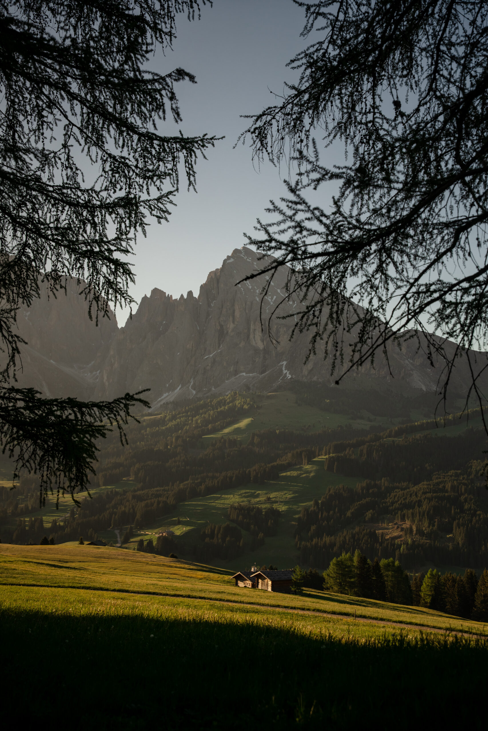 alpe di siusi hotel tirler dolomites living
